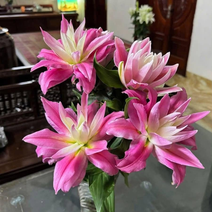 A bouquet of pink and white lilies with green leaves sits on a glass table in a room with wooden furniture.