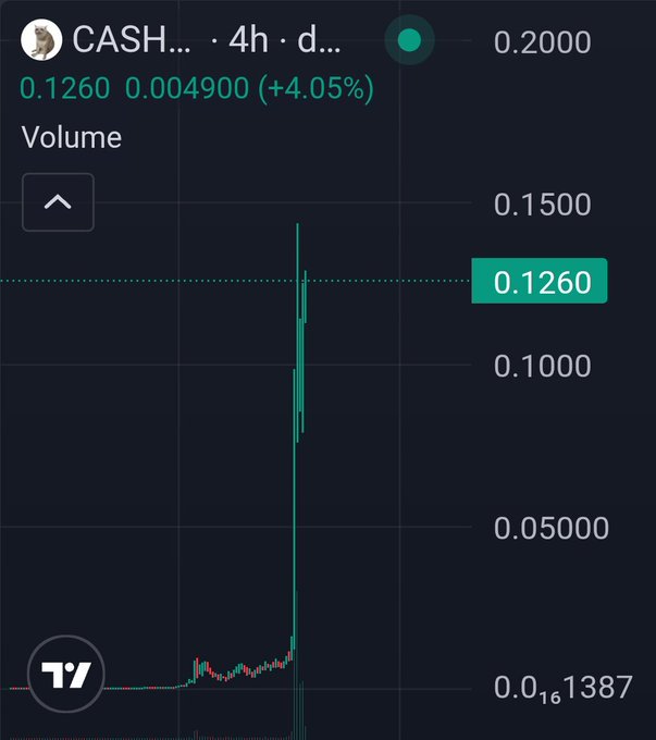 A TradingView 4-hour candlestick chart of the CASH... (CASHCAT) meme token shows a sudden vertical spike from around $0.016 to roughly $0.1260, marking a +4.05% gain before the price exploded higher on heavy volume—reflecting the post's excited reaction to the token's unexpected moonshot.