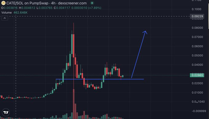 A 4-hour DEX Screener candlestick chart for $CATE/SOL on PumpSwap shows the token trading at 0.004612 with a +7.89% gain, featuring a horizontal blue support line around 0.02865 and an upward arrow projecting a bullish breakout toward 0.07+. The chart visually reinforces the post's confident bullish sentiment, illustrating how the recent dip represents a consolidation at support rather than a trend reversal.