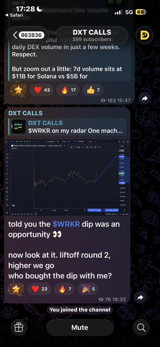 A Telegram channel screenshot of 'DXT CALLS' (399 subscribers) showing messages about daily DEX volume on Solana vs. $5B and a price chart for the $WRKR token highlighting a dip-buy opportunity.