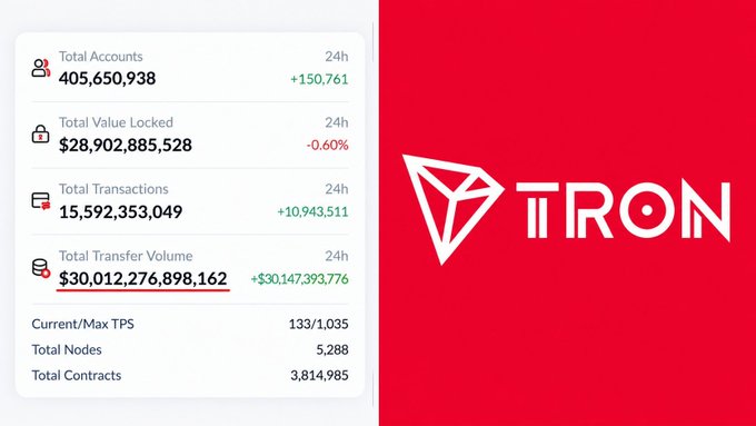 A Tron blockchain statistics dashboard showing metrics like Total Accounts (405,650,938), Total Value Locked ($28,902,885,528), and Total Transfer Volume ($30,012,276,898.162).