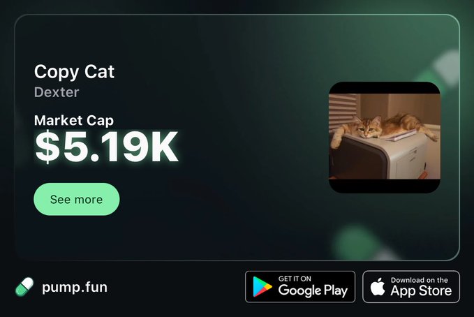 A promotional card for the "Copy Cat" token by Dexter on pump.fun displays a market cap of $5.19K alongside a photo of a tabby cat lounging on a printer, with app download links for Google Play and the App Store. The image aligns with the post's invitation to join the token's live launch via the provided pump.fun link.