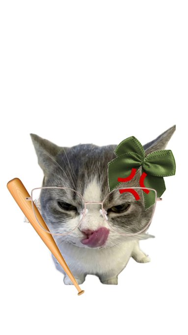 A grumpy cat wearing glasses with a green bow and red anger mark sticks out its tongue while holding a baseball bat on a white background.