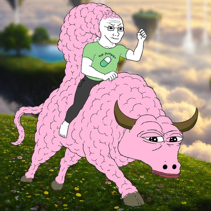 A "Soyjak" wojak meme character wearing a green "Top Dumper" t-shirt triumphantly rides a pink bull across a flower-filled field, humorously depicting the poster's reluctant admission that bullish investors ("delusional bulls") may actually succeed in pushing prices up despite the rider's bearish stance.