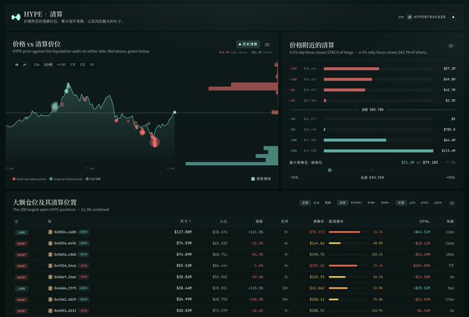 A HYPE liquidation dashboard showing HYPE price vs liquidation price chart, nearby liquidation levels, and top 100 large open HYPE positions with bearish dominance.