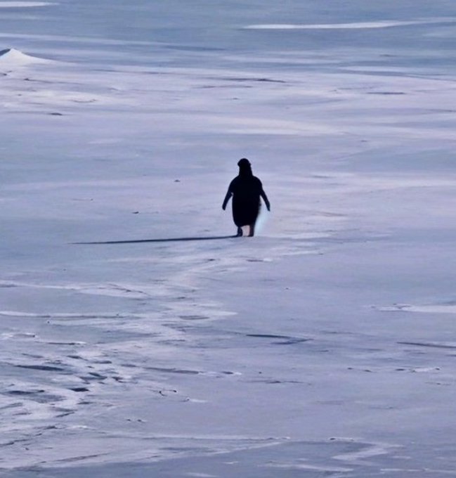 A moody, atmospheric photo of a silhouetted figure walking alone across a vast, snow-covered landscape under a pale sky.