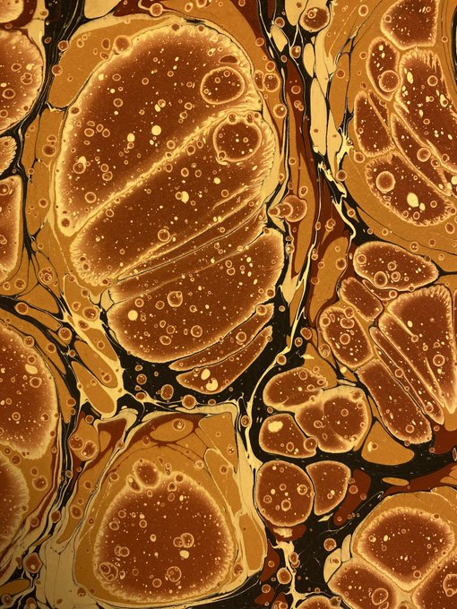 An abstract digital artwork featuring organic, cell-like or planet-like shapes in warm amber and orange tones with bubble textures and dark outlines, resembling a microscopic or cosmic pattern.