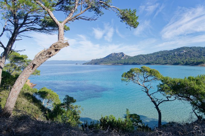 A scenic coastal view featuring clear turquoise water, pine trees in the foreground, and a rocky island in the distance under a blue sky.