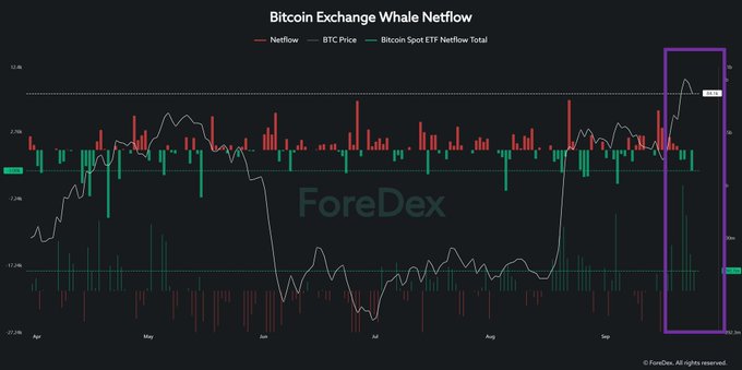 A financial chart titled 'Bitcoin Exchange Whale Netflow' from ForeDex showing netflow bars and BTC price trends, with a purple box highlighting recent activity on the right side.