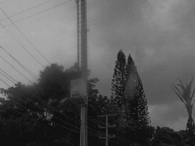 A grainy black-and-white photograph shows a utility pole with a ladder attached, set against an overcast sky with silhouetted tropical trees and power lines crossing the frame. The moody, monochromatic scene evokes a vintage or nocturnal atmosphere, with no visible text or numbers.
