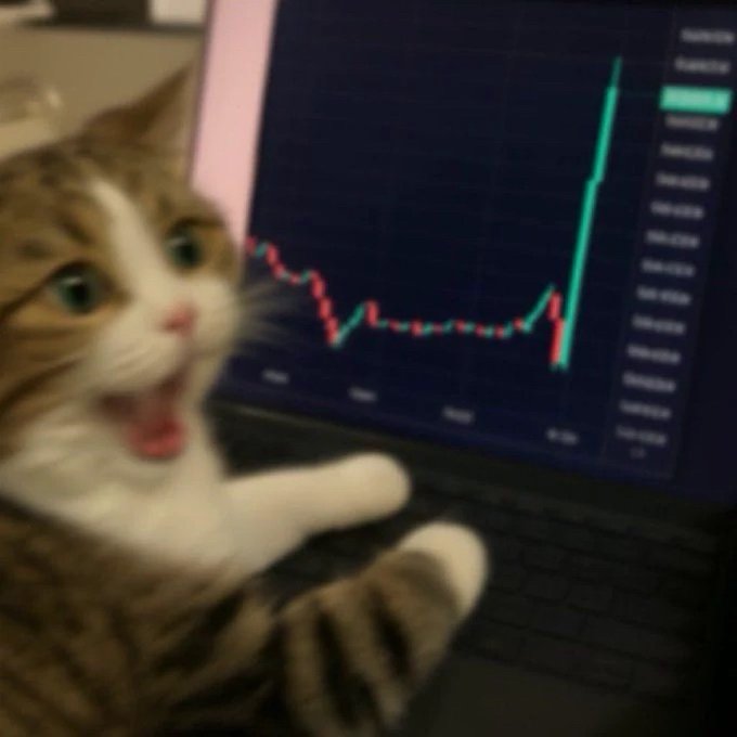 A shocked-looking cat with its mouth wide open sits in front of a laptop displaying a sharp upward green candlestick spike on a trading chart, visually capturing the feeling of waking up to a sudden price surge—matching the post's reference to dreaming of $SOL and Ansem-related gains.