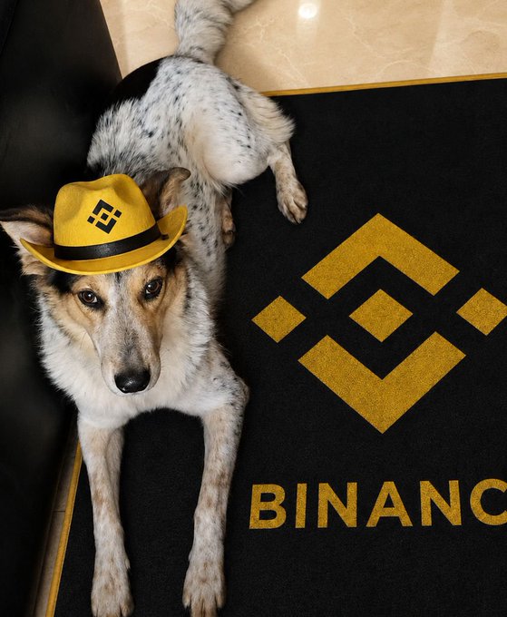 A speckled dog wearing a yellow fedora with the Binance logo lounges on a black Binance-branded mat. The caption "Swagged out for the weekend" matches the dog's stylish, branded outfit.