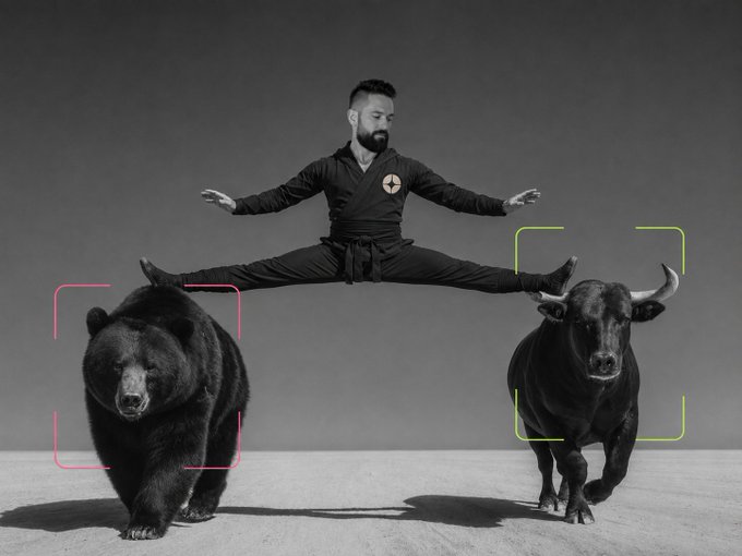 Black and white photo of a bearded martial artist in a split stance, with one foot on a bear and the other on a bull, framed by pink and green targeting brackets representing bear and bull markets.