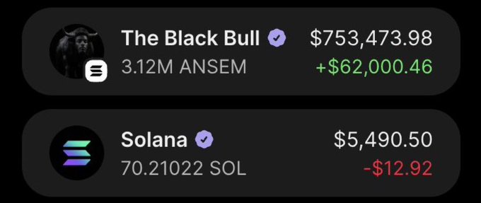 The image displays a crypto portfolio tracker showing "The Black Bull" account with 3.12M ANSEM valued at $753,473.98 (+$62,000.46 gain) and 70.21022 SOL valued at $5,490.50 (-$12.92 loss). The post references $ANSEM being listed on Hyperliquid and mentions @blknoiz06's brand, while the image appears to showcase the significant unrealized gains holding ANSEM has generated for this wallet despite others declaring the token "dead."