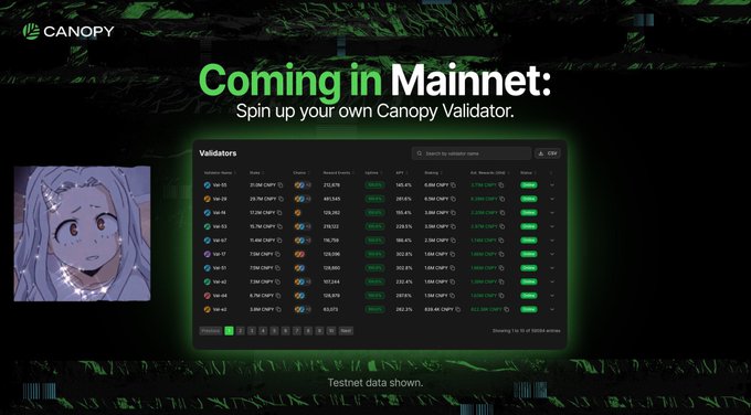 A promotional screenshot for Canopy's Mainnet launch with the headline 'Coming in Mainnet: Spin up your own Canopy Validator.' The image shows a validator dashboard listing validators, stakes, rewards, APR, and capacity, alongside an anime-style character avatar.