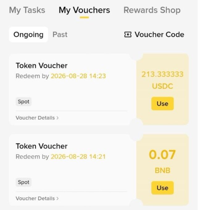 A screenshot of the "My Vouchers" tab on Binance, displaying two ongoing token vouchers: 213.333333 USDC and 0.07 BNB, both redeemable by August 28, 2026, for Spot trading—matching the user's post about winning rewards from the Binance Spot Trading Tournament.