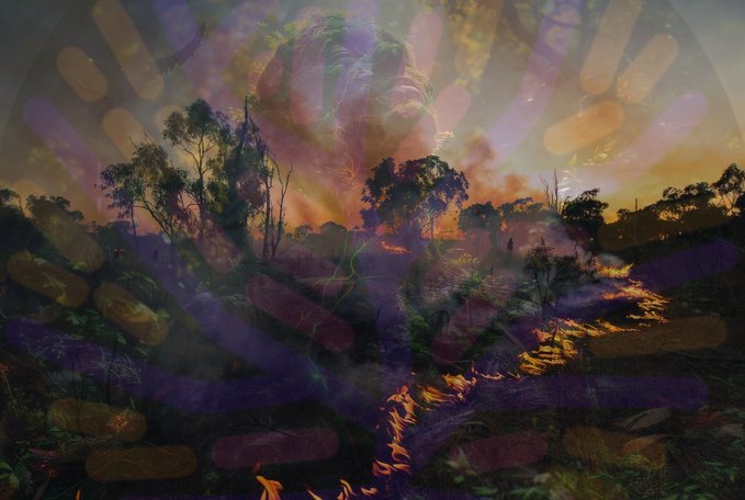 An abstract, artistic image of a forest landscape with trees and ground-level fire, overlaid with colorful purple and yellow translucent stripes and patterns.