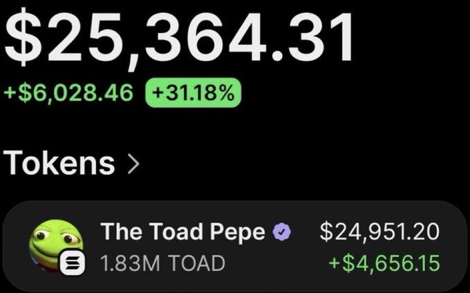 A crypto trading screenshot displays a portfolio valued at $25,364.31, up +$6,028.46 (+31.18%), highlighting holdings of 1.83M "The Toad Pepe" ($TOAD) tokens worth $24,951.20 (+$4,656.15 gain). The image visually supports the post's claim of turning a $4,200 investment in $TOAD into over $25,000 in profits.