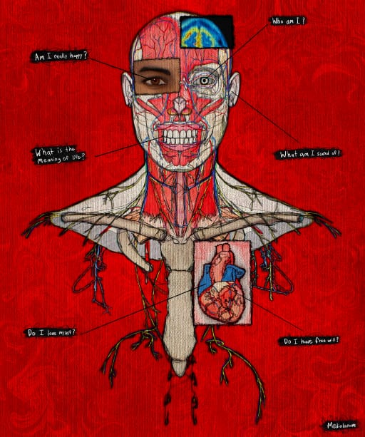 A detailed anatomical illustration of a human head and torso with visible musculature and organs against a red background, featuring existential questions like 'Who am I?', 'Am I really here?', 'What is the Meaning of life?', 'Do I have free will?', and 'Do I love myself?' labeled with arrows pointing to the brain, eye, mouth, heart, and chest.