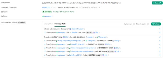 A Solscan blockchain transaction detail page showing a 'Finalized (MAX Confirmations)' transaction with multiple transfer actions involving tokens such as SOL, catdrip, EAA885, Pump.fun, and bhKjR, dated Aug 07, 2026.