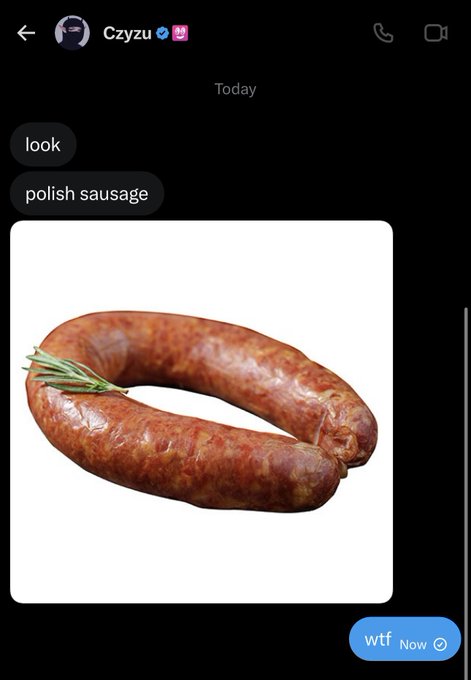 A chat conversation with 'Czyzu' showing messages 'look' and 'polish sausage' alongside an image of a U-shaped smoked sausage garnished with rosemary, with a 'wtf' reply.