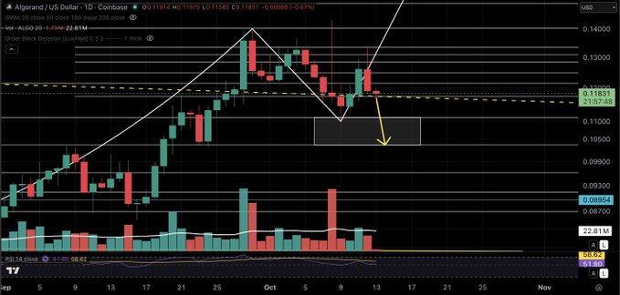 A financial chart showing the ALGORAUD price on Coinbase with technical analysis annotations including trendlines, Fibonacci levels, and a yellow arrow pointing downward into a highlighted box.