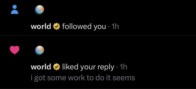 A screenshot of social media notifications showing that the verified account "world ✪" followed the user and liked their reply "i got some work to do it seems," both occurring 1 hour ago. The image supports the accompanying post's rumor about users being followed by @world_xyz potentially receiving an airdrop.