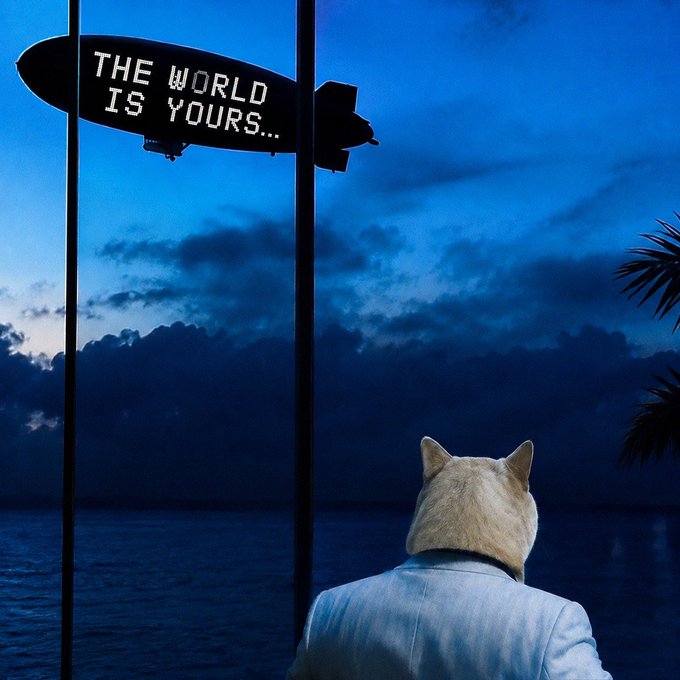 A suited figure with a cat's head stands overlooking the ocean at dusk beneath a blimp displaying "THE WORLD IS YOURS...", evoking a Tony Montana "Scarface" vibe to shill $CASHCAT.