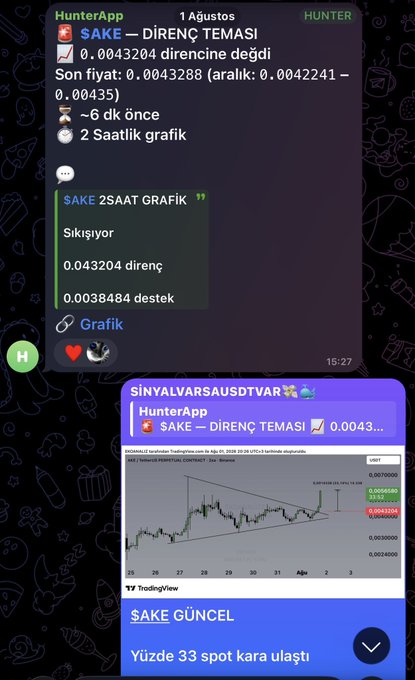 A screenshot of a Turkish Telegram channel "HunterApp" shows a 2-hour chart analysis of the $AKE token with a resistance of 0.0043204 and support of 0.0038484, followed by a signal notification titled "SINYALVARSAUSDTVAR" indicating that $AKE has dropped 33% in spot, corresponding to the post's warning about the -33% price decline and 1.47 TL loss.