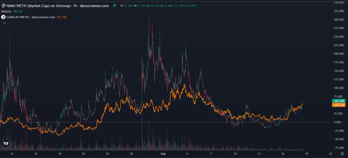 A TradingView chart displays the price performance of HMM/WETH on Uniswap with a 1-hour timeframe, showing a current value of 52.72 (up +2.35%), alongside an overlaid orange line representing CASHCAT/WETH at 52.75 (+0.35%). The two cryptocurrency charts move in strikingly similar patterns throughout August and September, visually confirming the user's observation about their correlated price action in anticipation of "Cat szn on Robinhood Chain."