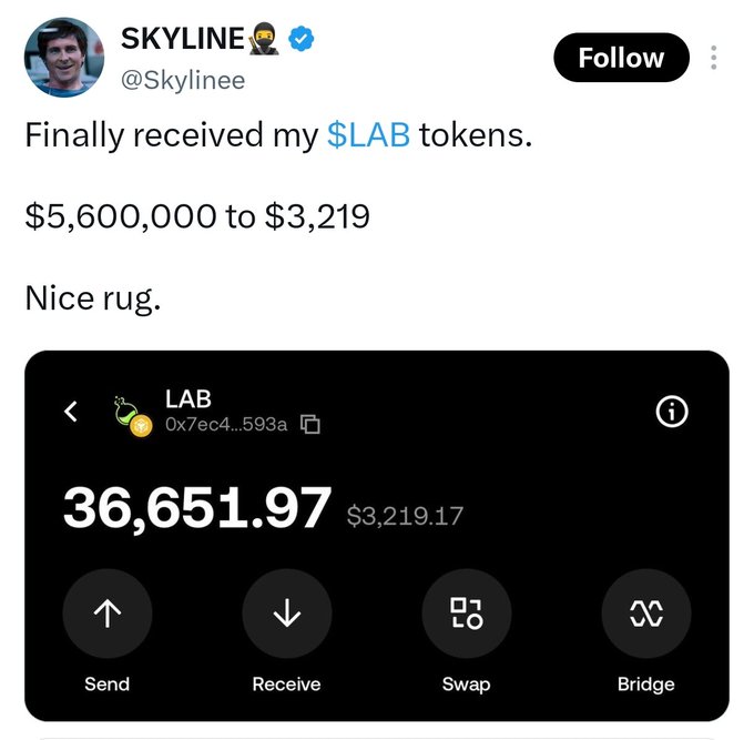 A tweet from user @Skylinee (@SkYlinee) reads "Finally received my $LAB tokens. $5,600,000 to $3,219. Nice rug," alongside a screenshot of a crypto wallet showing 36,651.97 LAB tokens valued at $3,219.17, illustrating the post's theme about crypto's painful financial losses ("whining your niiipple") through the dramatic value drop of a tokenized investment.