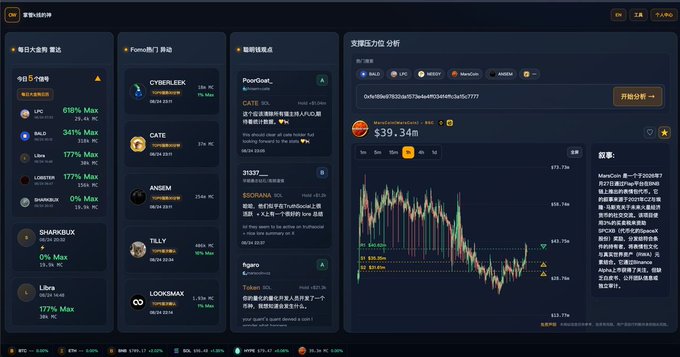 The dashboard showcases the OW platform's key features including daily top gainers (BAL +165%, ARB +177%, LBR +177%, SHARKBULLIX +6%, Libre +177%), Fomo movers (CYBERLEEK, CATE, ANSEM, TILLY, LOOKSMAXX), smart money insights for tokens like PoorSlat_, 31337_, and Figura, and a support/resistance analysis chart for ManeCoin priced at $39.34m, matching the post's description of the website's core features.