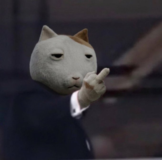A cat in a suit gives the middle finger, likely a meme representing a bold or defiant stance. This relates to the post's call to action for the Solana community to "step up their meme making game" and reach a $600 million market cap.