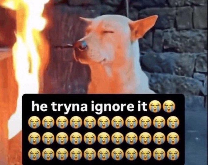 A meme featuring a white dog with closed eyes sitting calmly near flames, with overlaid text reading 'he tryna ignore it' followed by rows of crying-laughing emojis.