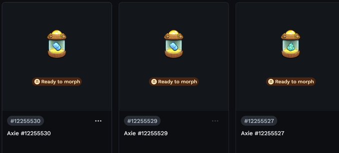 Three Axie NFTs (#12255530, #12255529, #12255527) displayed in jars, all marked 'Ready to morph' with blue and green elemental icons.