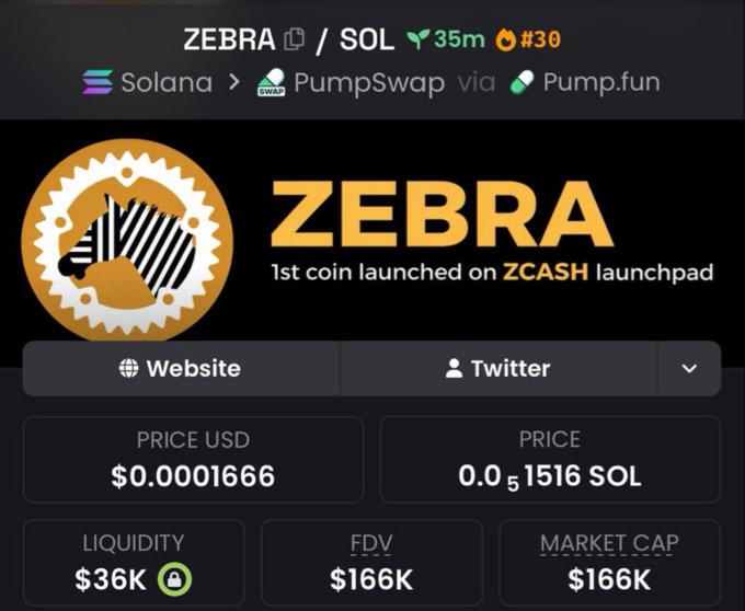 Cryptocurrency information page showing ZEBRA/SOL token on Solana via PumpSwap, priced at $0.0001666 with $36K liquidity and $166K market cap.
