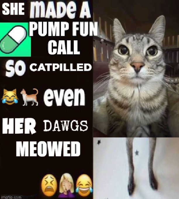 A meme featuring a cat with a shocked expression alongside text that reads 'SHE MADE A PUMP FUN CALL SO CATPILLED even HER DAWGS MEOWED' with crying and laughing emojis.