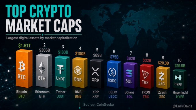 A bar chart titled "Top Crypto Market Caps" ranks the ten largest cryptocurrencies by market capitalization, led by Bitcoin ($1.61T), Ethereum ($306B), and Tether ($183B), followed by BNB ($100B), XRP ($89B), USDC ($75B), Solana ($62B), TRON ($32B), Zcash ($20.3B), and Hyperliquid ($19.5B). Sourced from CoinGeecko, the visualization directly supports the post's claim that these top 10 assets collectively represent about 89% of the total $2.80T crypto market.