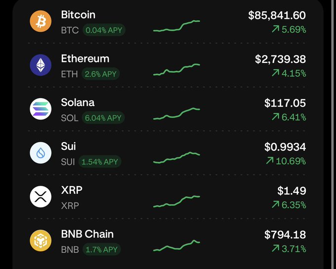 A cryptocurrency dashboard displays all major assets in the green, with Bitcoin at $85,841.60 (+5.69%), Ethereum at $2,739.38 (+4.15%), Solana at $117.05 (+6.41%), Sui at $0.9934 (+10.69%), XRP at $1.49 (+6.35%), and BNB at $794.18 (+3.71%)—perfectly illustrating the "WE ARE SO BACK" sentiment with a broad market rally across the board.