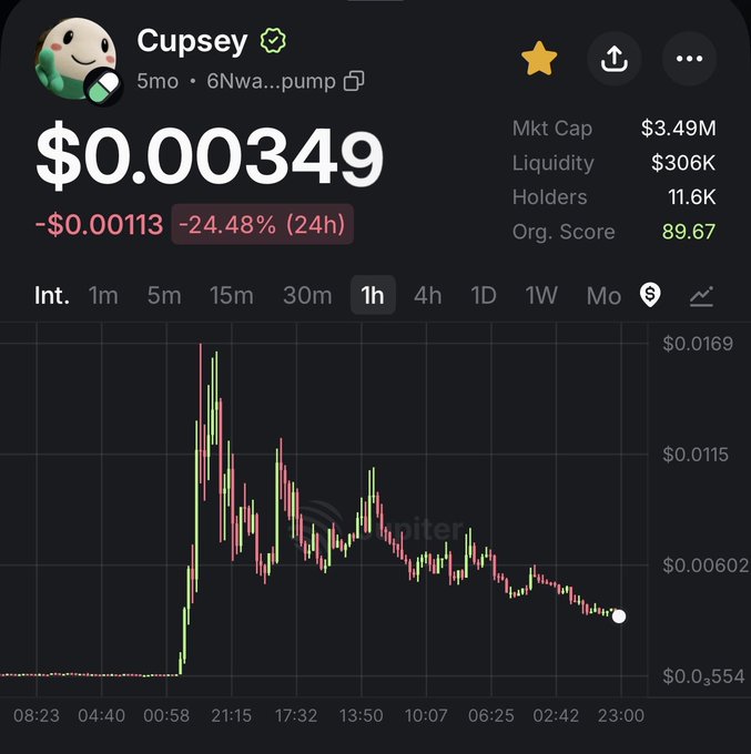 The image shows a cryptocurrency chart for "Cupsey" with a current price of $0.00349, a market cap of $3.49M, and a 24-hour price drop of -24.48%. The graph depicts a significant drop from its peak, aligning with the post's commentary about the mascot's declining value.