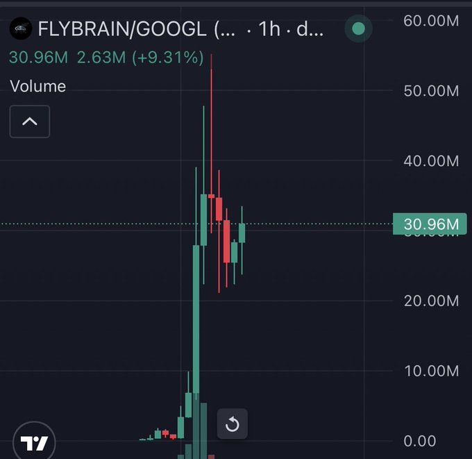 A candlestick volume chart for $FLYBRAIN/GOOGL on a 1-hour timeframe shows trading volume peaking at over 50M, with the current volume marked at 30.96M—up 9.31% (2.63M)—reflecting the memecoin's viral surge mentioned in the post.