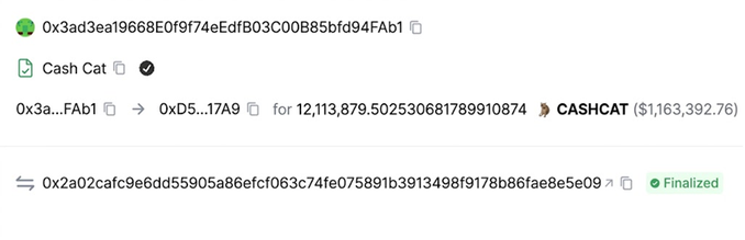 A cryptocurrency transaction record showing a transfer of 12,113,879.502530681789910874 wrapped tokens (worth $1,163,392.76) labeled 'Cash Cat' with a 'Finalized' status.