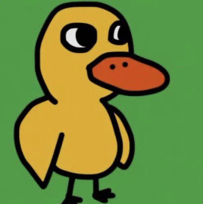 The image features a cartoon-style duck with an orange beak, standing upright against a green background. The duck appears to be looking directly at the camera, giving off a friendly vibe. The caption below the image reads "Flagship meme of usdc". This suggests that the image is likely related to a popular meme or internet trend featuring ducks and their distinctive features.