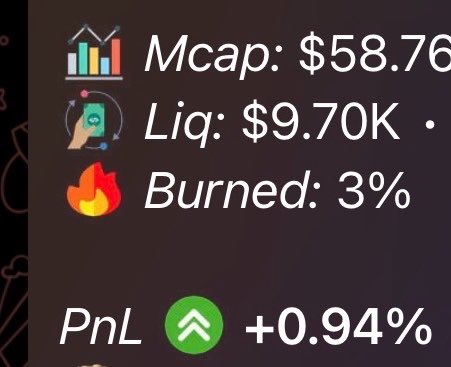 A screenshot showing token statistics with a market cap of $58.76, liquidity of $9.70K, 3% burned, and a PnL of +0.94% with an upward green arrow.