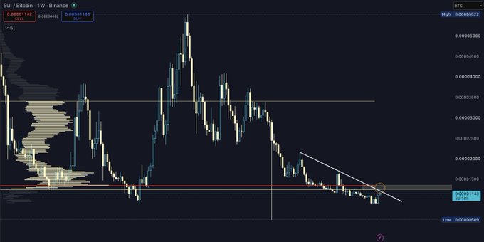 A weekly SUI/Bloom chart on Binance shows a descending triangle pattern with price testing support near 0.00001143, accompanied by volume profile data on the left and BTC price at $113,055.22.