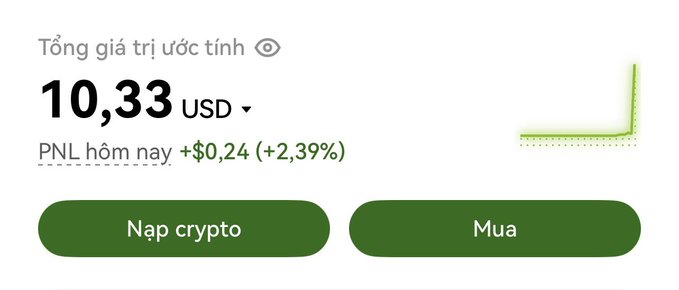Vietnamese cryptocurrency interface showing 'Tổng giá trị ước tính' (estimated total value) of 10.33 USD with 'PNL hôm nay +$0,24 (+2,39%)' and buttons for 'Nạp crypto' (deposit) and 'Mua' (buy).