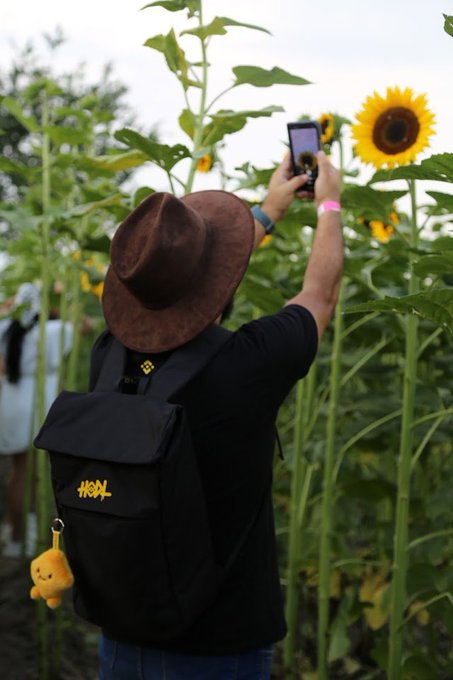 A person wearing a brown hat and a black backpack with "HODL" written in yellow and a cute yellow charm is taking a photo of sunflowers with their phone, embodying the "touchgrass" spirit of the Binance Angels community stepping outside to enjoy nature.