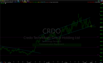 A stock chart displaying CRDO (Credo Technology Group Holding Ltd) with 'Technology Services' and 'Communication Equipment' sector labels, showing an upward price trend on a dark background.