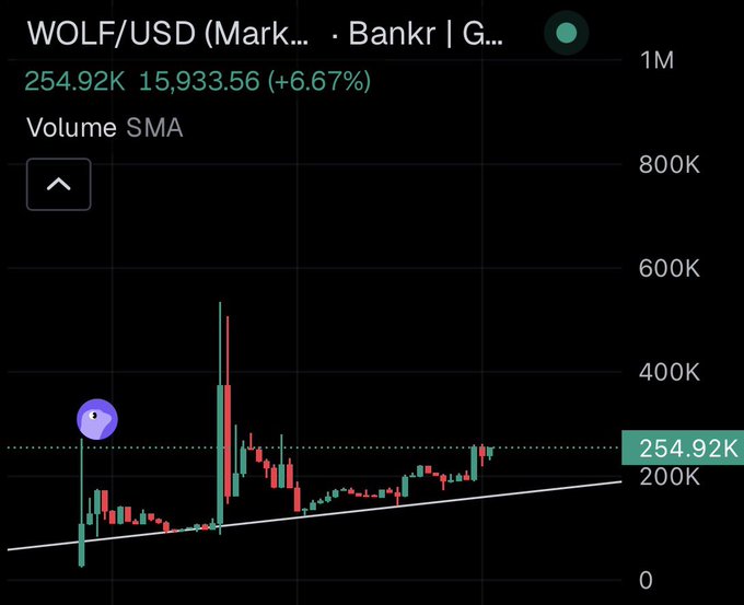 A dark-themed cryptocurrency chart for 'WOLF/USD' shows a volume of 254.92K with a price increase of 15,933.56 (+6.67%), displaying candlestick patterns and a Volume SMA indicator.
