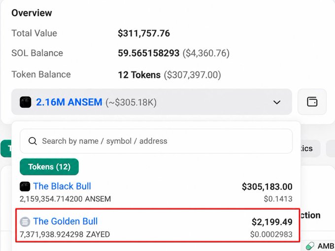 A crypto wallet portfolio overview showing a total value of $311,757.76, with holdings of 2.16M ANSEM ($305.18K) including 2,159,354.71 ANSEM tokens in "The Black Bull" ($305,183.00) and 7,371,938.92 ZAYED tokens in "The Golden Bull" ($2,199.49).